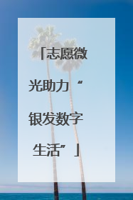 志愿微光助力“银发数字生活”