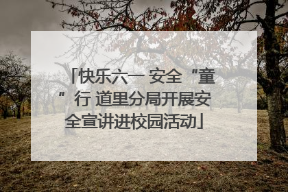 快乐六一 安全“童”行 道里分局开展安全宣讲进校园活动