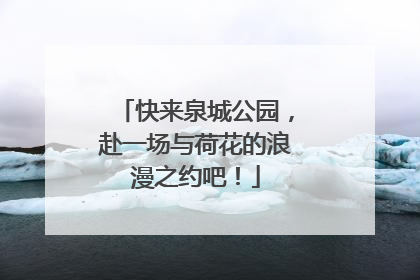 快来泉城公园，赴一场与荷花的浪漫之约吧！