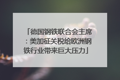 德国钢铁联合会主席：美加征关税给欧洲钢铁行业带来巨大压力