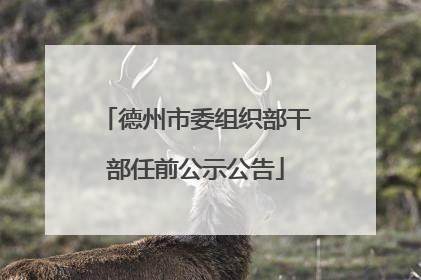 德州市委组织部干部任前公示公告