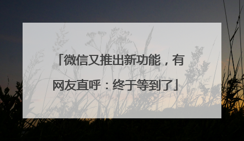 微信又推出新功能，有网友直呼：终于等到了