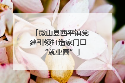 微山县西平镇党建引领打造家门口“就业圈”