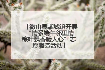 微山县驩城镇开展“情系端午邻里情 粽叶飘香暖人心”志愿服务活动