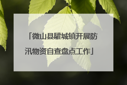 微山县驩城镇开展防汛物资自查盘点工作