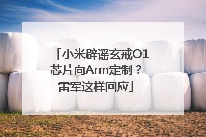 小米辟谣玄戒O1芯片向Arm定制？雷军这样回应