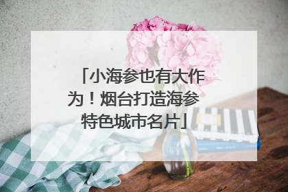 小海参也有大作为！烟台打造海参特色城市名片