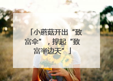 小蘑菇开出“致富伞”，撑起“致富半边天”