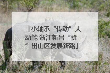 小轴承“传动”大动能 浙江新昌“拼”出山区发展新路