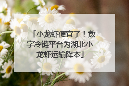 小龙虾便宜了！数字冷链平台为湖北小龙虾运输降本