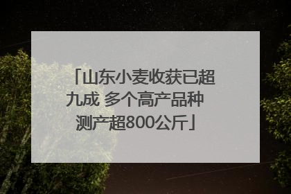山东小麦收获已超九成 多个高产品种测产超800公斤