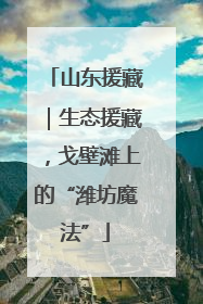 山东援藏｜生态援藏，戈壁滩上的“潍坊魔法”