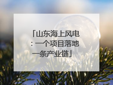 山东海上风电：一个项目落地一条产业链