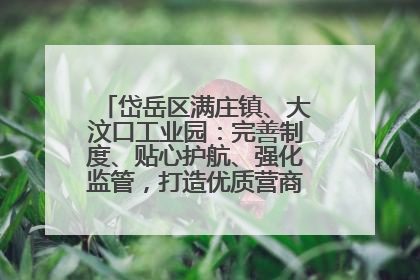 岱岳区满庄镇、大汶口工业园：完善制度、贴心护航、强化监管，打造优质营商“强磁场”
