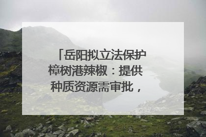 岳阳拟立法保护樟树港辣椒：提供种质资源需审批，违规最高罚5万