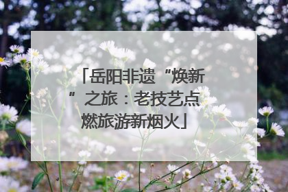 岳阳非遗“焕新”之旅：老技艺点燃旅游新烟火