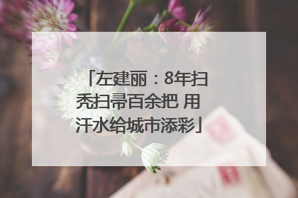 左建丽：8年扫秃扫帚百余把 用汗水给城市添彩