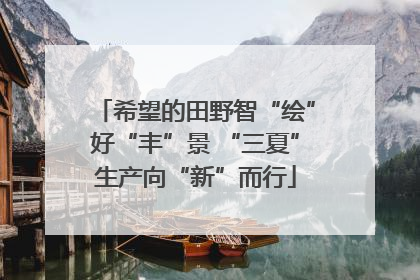 希望的田野智“绘”好“丰”景 “三夏”生产向“新”而行
