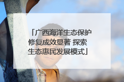 广西海洋生态保护修复成效显著 探索生态惠民发展模式