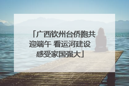 广西钦州台侨胞共迎端午 看运河建设感受家国强大