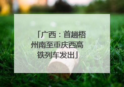 广西：首趟梧州南至重庆西高铁列车发出