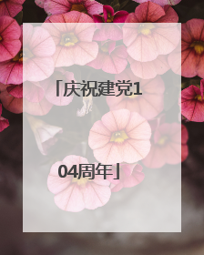 庆祝建党104周年