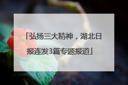 弘扬三大精神，湖北日报连发3篇专题报道