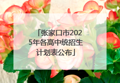 张家口市2025年各高中统招生计划表公布