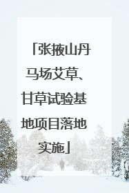 张掖山丹马场艾草、甘草试验基地项目落地实施