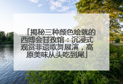 揭秘三种颜色绘就的西博会甘孜馆：沉浸式观赏非遗歌舞展演，高原美味从头吃到尾
