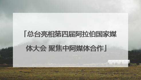 总台亮相第四届阿拉伯国家媒体大会 聚焦中阿媒体合作