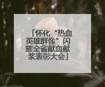 怀化“热血英雄群像”闪耀全省献血献浆表彰大会