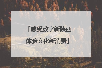 感受数字新陕西 体验文化新消费