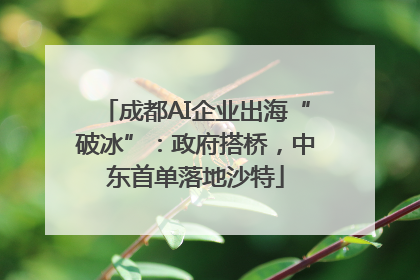 成都AI企业出海“破冰”：政府搭桥，中东首单落地沙特