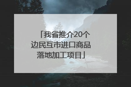 我省推介20个边民互市进口商品落地加工项目