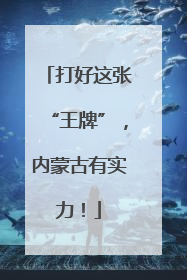打好这张“王牌”，内蒙古有实力！