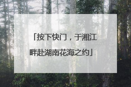 按下快门，于湘江畔赴湖南花海之约