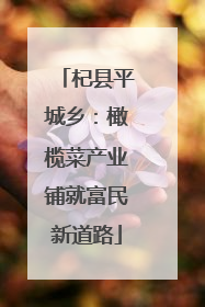 杞县平城乡：橄榄菜产业铺就富民新道路