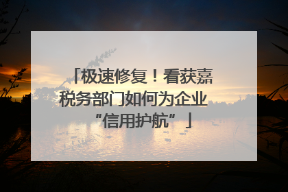 极速修复！看获嘉税务部门如何为企业“信用护航”