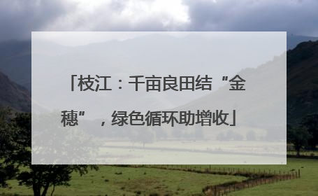 枝江：千亩良田结“金穗”，绿色循环助增收