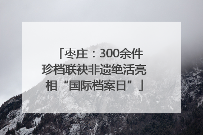 枣庄：300余件珍档联袂非遗绝活亮相“国际档案日”