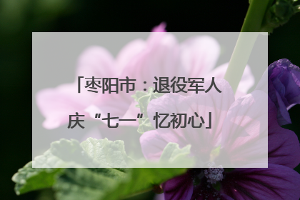 枣阳市：退役军人庆“七一”忆初心