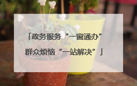 政务服务“一窗通办” 群众烦恼“一站解决”