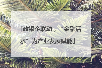 政银企联动，“金融活水”为产业发展赋能