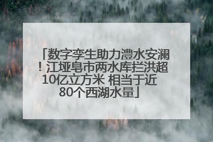 数字孪生助力澧水安澜！江垭皂市两水库拦洪超10亿立方米 相当于近80个西湖水量