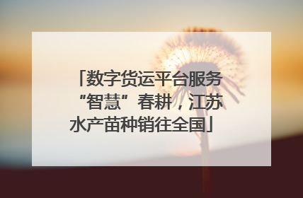 数字货运平台服务“智慧”春耕，江苏水产苗种销往全国