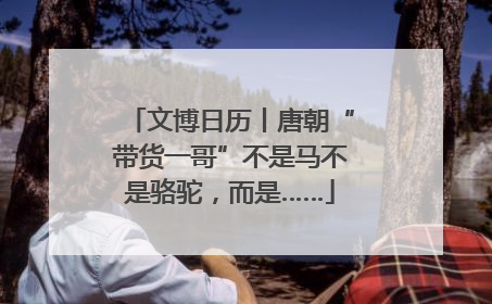 文博日历丨唐朝“带货一哥”不是马不是骆驼，而是……