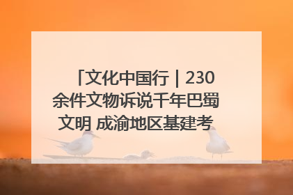 文化中国行｜230余件文物诉说千年巴蜀文明 成渝地区基建考古成果展开展