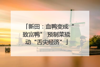 新田：血鸭变成“致富鸭” 预制菜撬动“舌尖经济”