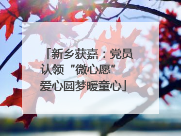 新乡获嘉：党员认领“微心愿” 爱心圆梦暖童心
